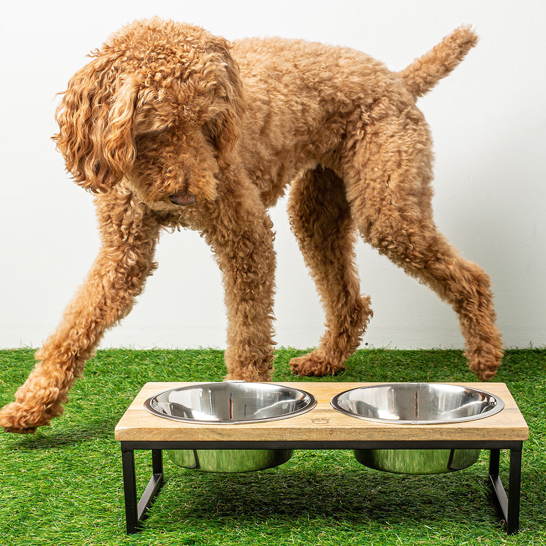 Sustainable Wood & Metal Elevated Pet Feeder