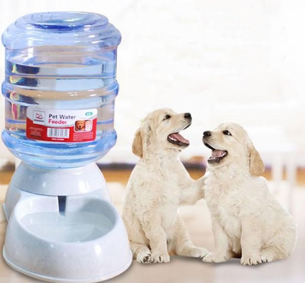 Automatic Pet Feeder & Water Fountain Combo - Large Capacity, Eco-Friendly Design-0